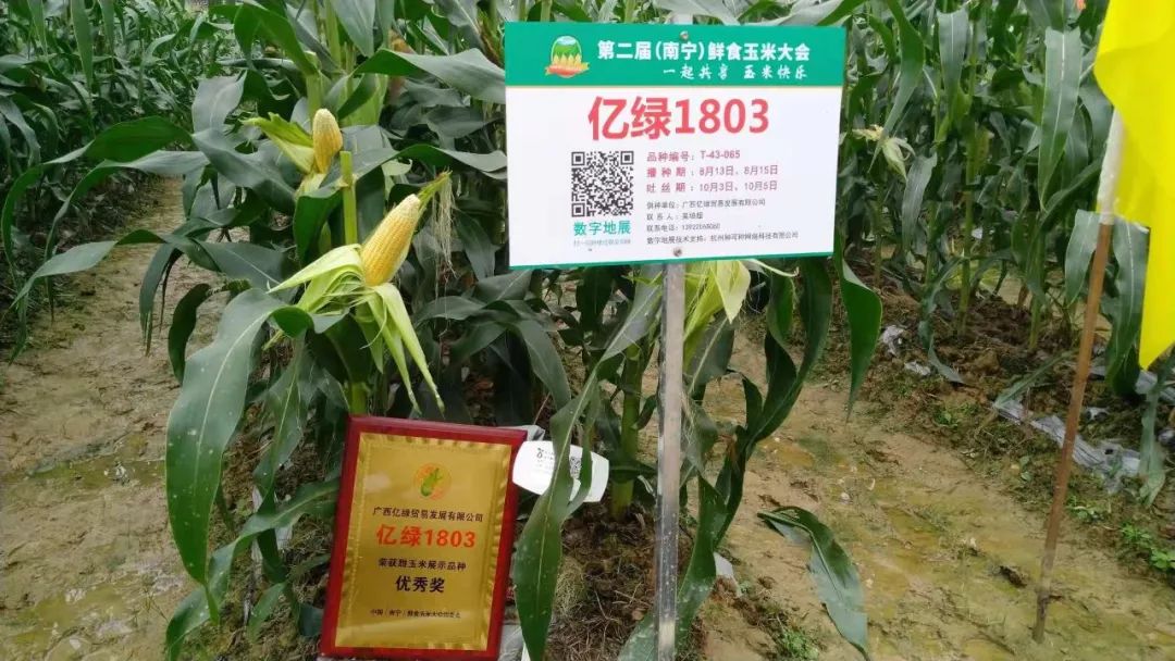 5c21ec4c9a822