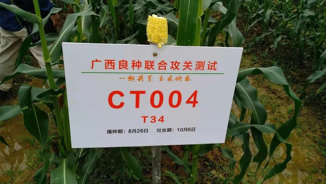 5c21ec4d834e9